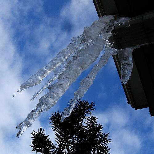 Visit_NJ's tweet image. RT @BestofNJ: Best NJ Icicle: Tweet your best NJ Icicle Pic hashtag #bestnjicicle. Vote @ bestofnj.com/best-nj-icicle