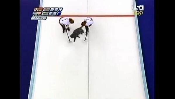 3FM's tweet photo. Purrrrrling: curling met katten! Filmpje: http://t.co/MVxcd5EP4F #3FM http://t.co/OKRx5dklwJ