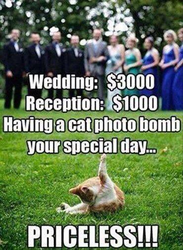 Dailyinstafun's tweet photo. Hah http://t.co/6ftvnNS9iv
