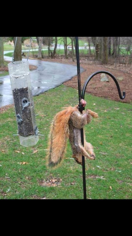 I require assistance