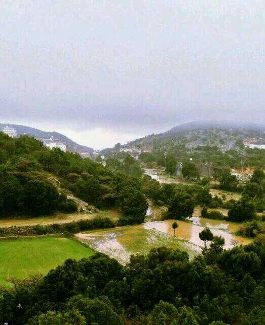 ArbDoge__io's tweet image. : : : #عن_الجنوب #النماص http://t.co/34zAXFDwJT""""