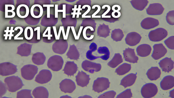atdoveorg's tweet photo. We've unlocked a premium video for #2014WVC!
Blood Smear Differential & Morphology: http://t.co/xiOaDmaVJ2 http://t.co/7K3tzjiIEV