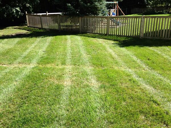 bestmowingpics's tweet image. Rt if you want these stripes