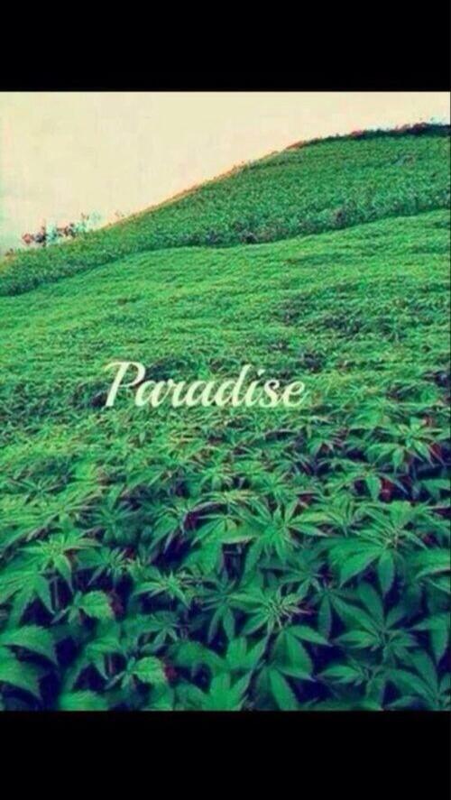 BroSisStyle's tweet image. My Paradise