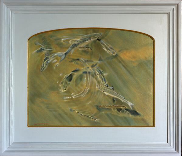 RT <a href="/cn_paintings/">Christopher Newell</a>: #art another oil #painting of a shoal of mullet in the Cleddau estuary,#Pembrokeshire