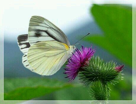 오늘하루도 행복하게 즐거우 하루만드세요 여러분~~~