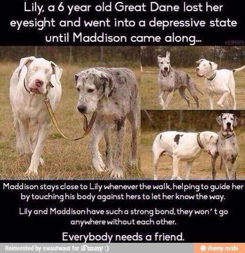 rhea_rice's tweet image. Real friends! Retweet if you are a good friend like Maddison!!
