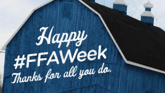 SpringGardenFFA's tweet image. 