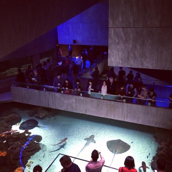 cfiesler's tweet image. #cscw2014 + fish (This year, live animals at the reception!)