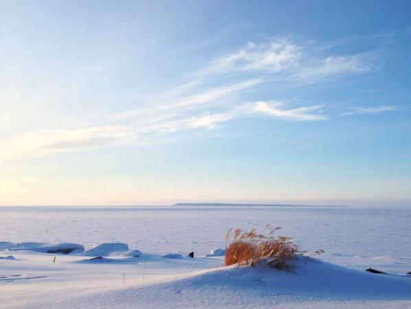 PureMichigan tweet picture