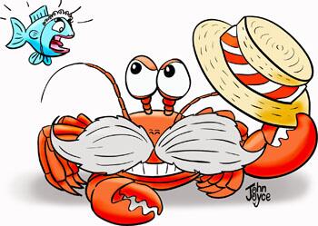 CaptainCockle's tweet photo. Rush of blood to cartooning arm last week. Put a load of new FunFacts marine life cartoons on http://t.co/fJ3oGbfMuX http://t.co/OKfIUceM4o
