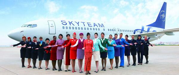 Индонезия входит в первую пятерку. Гаруда Индонезия авиакомпания. Sky Team Альянс участники. Skyteam авиакомпании участники. Аэрофлот Скай Альянс.