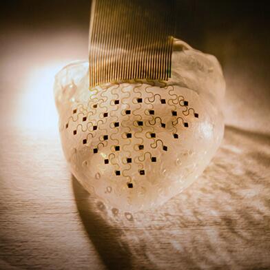 techreview's tweet image. Heart Implants, 3-D-Printed to Order techre.vu/1dWertp