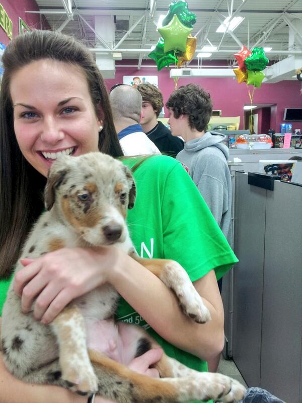 Today is your LAST chance to vote for Ryan &amp; Nicole and bring the #puppyroom to campus! Make sure to remind friends!