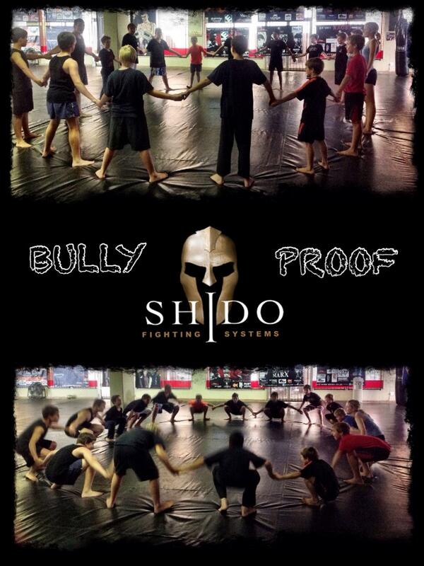 SHIDO Fight Systems tweet media