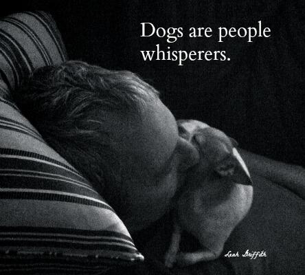 JoomlaDesignSEO's tweet image. Dogs are people whisperers. Love is love. #MuttLove
