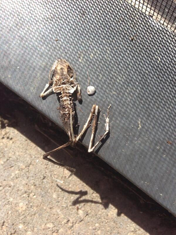 mtnhi93's tweet image. Monday AM selfie? #postOscarsparty #1toomany #deathsdoorstep