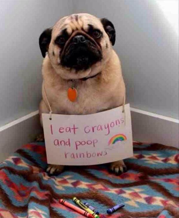 IT8OH's tweet photo. @pewdiepie  http://t.co/1cRuP0AI53 http://t.co/V3w3XOjWio