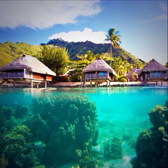 OneMoreFoot's tweet image. Would love to be here