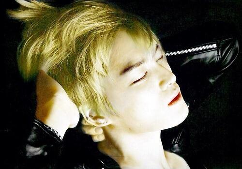 anne0626's tweet photo. ZzzzZ ..Z z....z z z http://t.co/Scm4V7kGnD