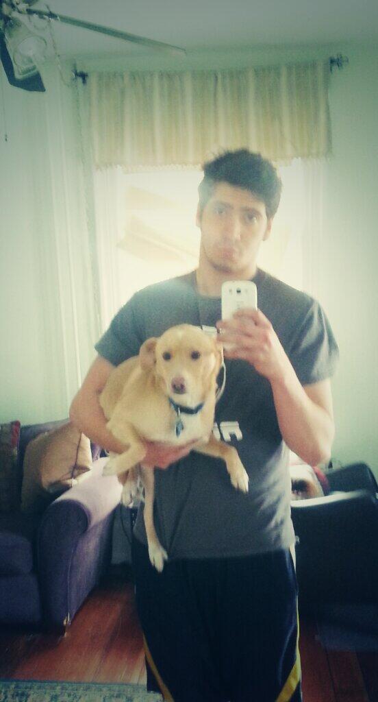 wahoolagon's tweet photo. #portabledogs @aliekutsubos  @DroidDaughter http://t.co/TohCmnll4g