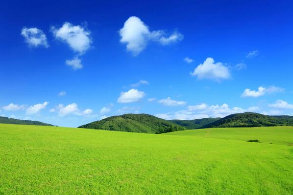 LifeScience_'s tweet image. Pure Air vs YOUR Air and its connections to disease. rawblg.blogspot.com