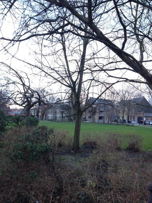 Vanaf 1 juni zal deze mooi boom vol kleurrijke tutters hangen! Locatie: park aan de academie, Lede. U komt toch ook?