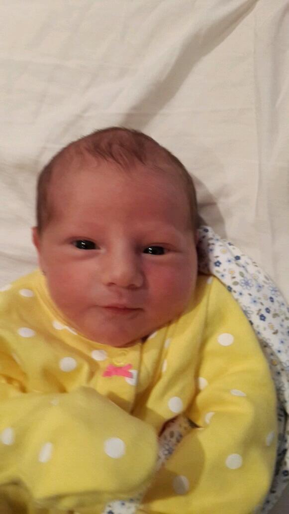 ipesate's tweet image. 