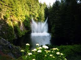 rosivale12's tweet photo. Hola Mario, envío hermosa cascada,, espero te llegue http://t.co/DTdTBTAvHN