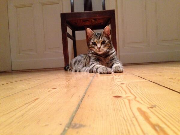 feedic's tweet photo. Back at my parent's… http://t.co/dwJs6tOCXs