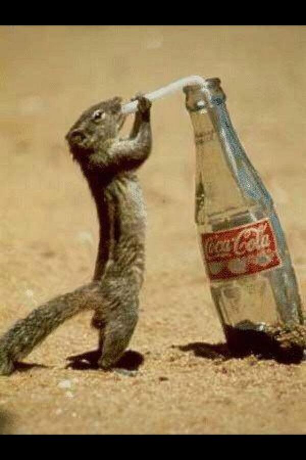 AdorOverLoad's tweet image. 