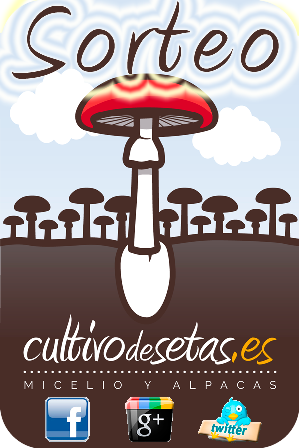 #sorteo El domingo sorteamos una alpaca de Shiitake entre todos nuestros seguidores que hagan retweet en esta imagen