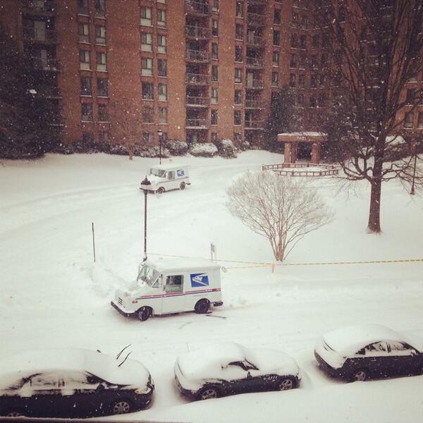 Dr. Ammar A. Malik عمار ملک tweet media