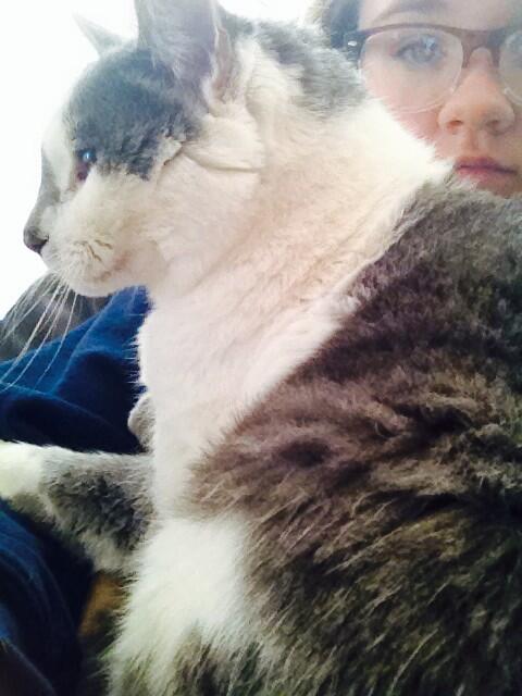 CoralBrynae's tweet image. At least I have Dodge on these snowed in cuddle day 😺 #idontlikecats