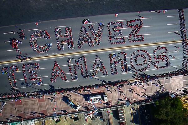 #Foto  Av. Bolívar, Ccs-Venezuela <a href="/NicolasMaduro/">Nicolás Maduro</a> <a href="/dcabellor/">Diosdado Cabello R</a> @MesaInfoVTV <a href="/ZKVTV/">Zurda Konducta</a> <a href="/rhm1947/">Roberto Hernández Montoya</a> <a href="/LeonelBravo/">HerMan</a>  Vía <a href="/ElizanderM/">#Dios</a>