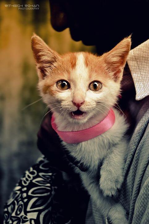 ritheshrohanr's tweet image. photography FTW #SYCON