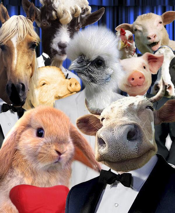 abaPR's tweet photo. @ENews @JustJared @andersoncooper @MarioLopezExtra http://t.co/x40ltjpost  LOL