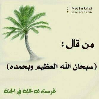 سلطان الشراري 509 tweet media