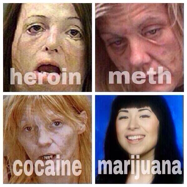 Fireweedpics's tweet image. Weeds not the problem.