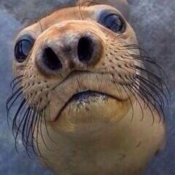 trippinomotry's tweet image. kids be like "u got games on ur phone?"