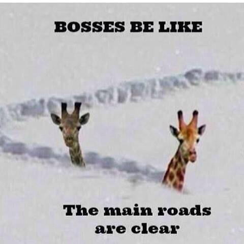 patsycake67's tweet image. 