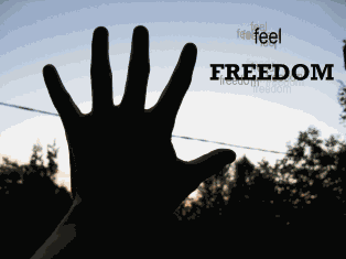 DonaldIDeserve's tweet photo. @20yearsfreedom  south Africa is a better country now !! 20yearsFreedom http://t.co/AmItLBIX9P