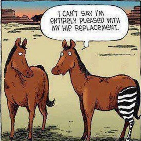 mericombs12's tweet image. @turtledip @heartRN13 lmaooooo 😂😂 #ShopHumor.