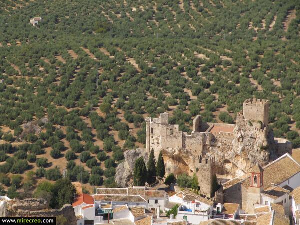 _Paisajes_ tweet picture