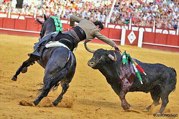 Andy_Cartagena's tweet photo. Buenos días, seguimos entrenando que ya estamos ahí.
Os dejo esta foto que me encontré Málaga 2013 con #Pericalvo http://t.co/8qhH2qWcs6
