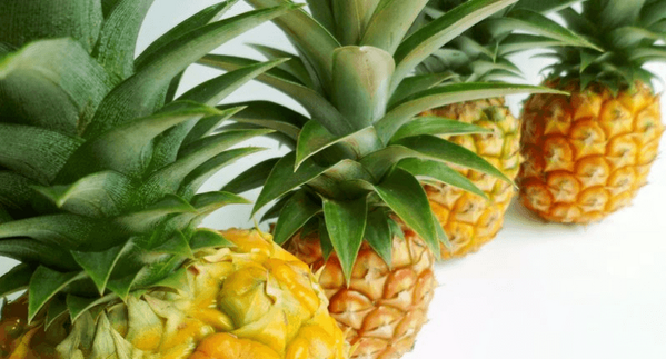 группа ананас пермь. гр ананасы. ананас frunet.