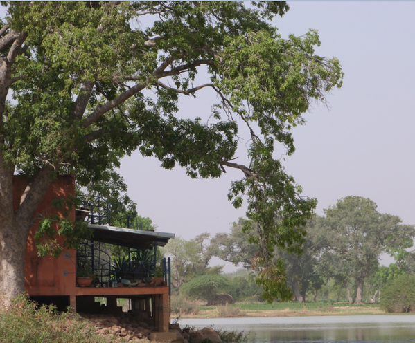 africablogs's tweet photo. AFRIQUE - TOURISME : #InsideTravel  Invitation au voyage : Lac de Bam - #BurkinaFaso #BF #Afrique http://t.co/v0crLX9mFQ via @Traorchris #FF
