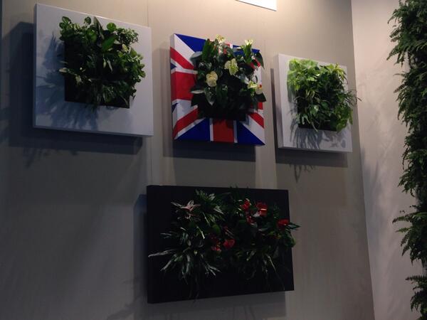 LivePictures looking great at Eco build! #livepicture