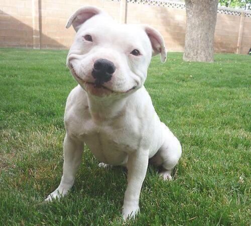Buenos días!! Como llevamos esta soleada mañana?? Empecemos el día con nuestra mejor sonrisa.
