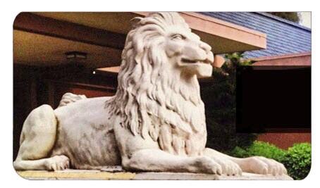 HaywardLibrary's tweet image. #HAYWARD Maybe not as famous as New York Public Library, but we still have the heart of a lion. #weekes